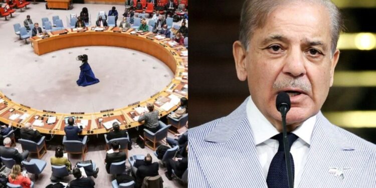 'आतंकवादियों का देश' पाकिस्तान को UNSC, कुर्सियों तालिबान प्रतिबंध पैनल में प्रमुख आतंकवाद विरोधी भूमिका मिलती है