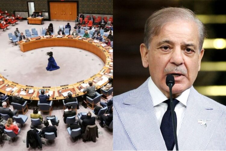 'आतंकवादियों का देश' पाकिस्तान को UNSC, कुर्सियों तालिबान प्रतिबंध पैनल में प्रमुख आतंकवाद विरोधी भूमिका मिलती है