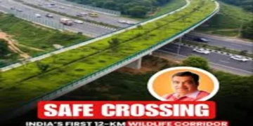 दिल्ली मुंबई एक्सप्रेसवे: जानवरों के लिए सुरक्षित क्रॉसिंग एक वास्तविकता अब, पहले 12 किमी वन्यजीव गलियारा निर्मित