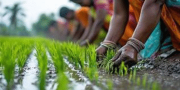 पीएम-किसान 20 वीं किस्त 2025: कौन गायब है और कैसे साइन अप करें