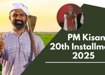 पीएम-किसान 20 वीं किस्त 2025 जल्द ही आ रहा है; अपूर्ण KYC वाले किसानों को 2,000 रुपये का भुगतान नहीं मिल सकता है