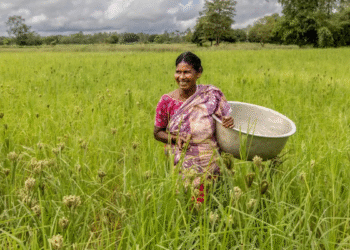 बंद! पीएम किसान 20 वीं किस्त दिनांक 2025 | पीएम किसान सममन राहा भुगतान की स्थिति और लाभार्थी सूची
