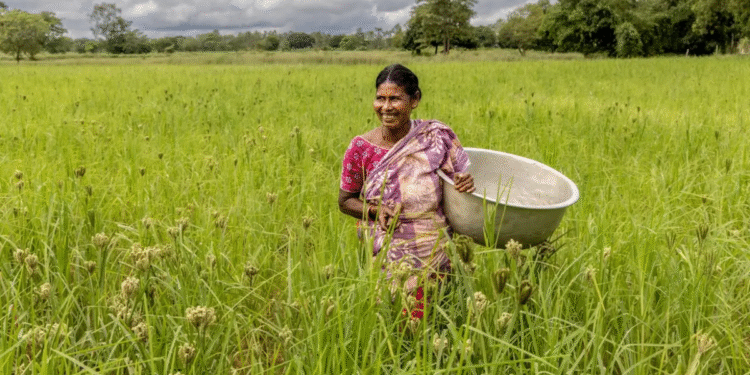 बंद! पीएम किसान 20 वीं किस्त दिनांक 2025 | पीएम किसान सममन राहा भुगतान की स्थिति और लाभार्थी सूची