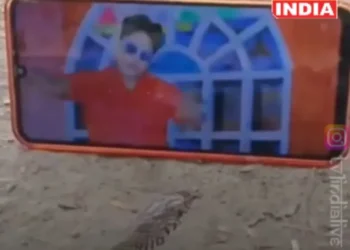 बिहार वायरल वीडियो: भोजपुरी गीत और नृत्य देखने के बाद स्नेक अजीब; Netizens शांत नहीं रख सकते