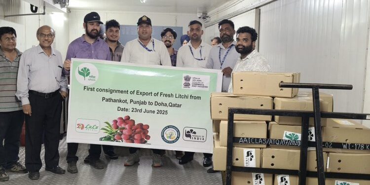 भारत ने पठकोट से कतर तक गुलाब-सुगंधित लीची की पहली खेप बंद कर दी