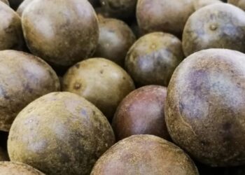 भिक्षु फल: भारतीय किसानों के लिए उच्च लाभ और स्वास्थ्य लाभ प्रदान करने वाला एक प्राकृतिक स्वीटनर