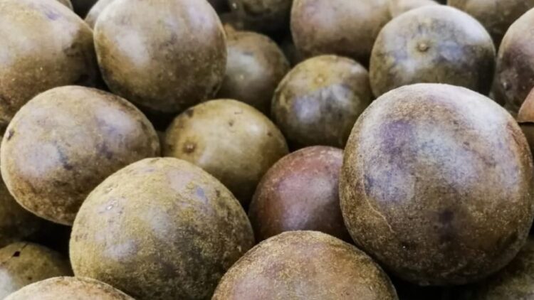 भिक्षु फल: भारतीय किसानों के लिए उच्च लाभ और स्वास्थ्य लाभ प्रदान करने वाला एक प्राकृतिक स्वीटनर