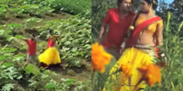 भोजपुरी गीत: दिनेश लाल यादव के खेट रोमांस के साथ काजल रघवानी के साथ 'हम हेन पिया जी के केहर तिर्यवा' में दर्शकों को उत्तेजित करता है, लाखों में विचार उत्पन्न करता है