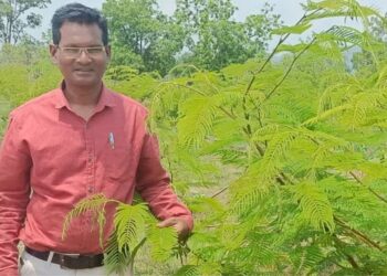 मिलान सिंह विश्वकर्मा छत्तीसगढ़ में 26 एकड़ लाख खेती से सालाना लाखों कमाएँ, 700/किग्रा रुपये में बेचते हैं