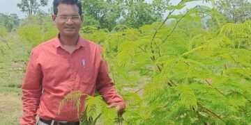 मिलान सिंह विश्वकर्मा छत्तीसगढ़ में 26 एकड़ लाख खेती से सालाना लाखों कमाएँ, 700/किग्रा रुपये में बेचते हैं