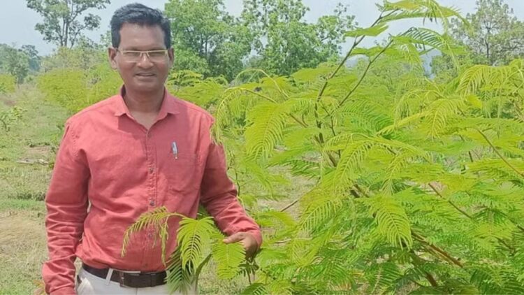 मिलान सिंह विश्वकर्मा छत्तीसगढ़ में 26 एकड़ लाख खेती से सालाना लाखों कमाएँ, 700/किग्रा रुपये में बेचते हैं