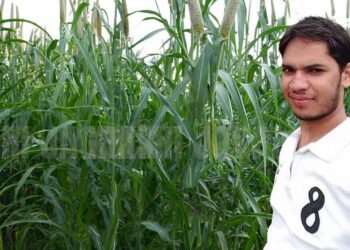 योधा प्लस बाजरा राजस्थान किसान के जीवन को बदल देता है: लाभ और प्रगति की एक सफलता की कहानी