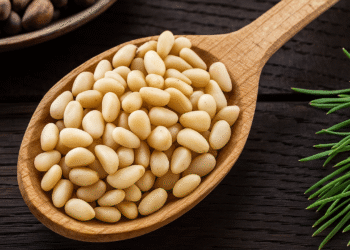 वन से टेबल: पाइन नट कटाई तकनीक, पोषण अंतर्दृष्टि और किसानों के लिए सांस्कृतिक विरासत
