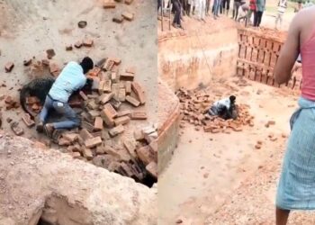 वायरल वीडियो: 'जानबाज़ लड्डा ...' तेंदुए ने यूपी में काम करने पर हमला किया, आदमी इसे जमीन पर कुश्ती करता है, नेटिज़ेंस सलामी