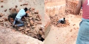 वायरल वीडियो: 'जानबाज़ लड्डा ...' तेंदुए ने यूपी में काम करने पर हमला किया, आदमी इसे जमीन पर कुश्ती करता है, नेटिज़ेंस सलामी
