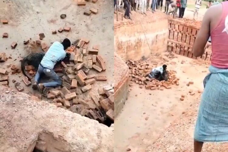 वायरल वीडियो: 'जानबाज़ लड्डा ...' तेंदुए ने यूपी में काम करने पर हमला किया, आदमी इसे जमीन पर कुश्ती करता है, नेटिज़ेंस सलामी