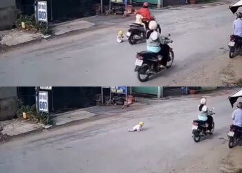 वायरल वीडियो: दिल-धराशायी! पिता सड़क पर बच्चे को छोड़ देते हैं, नाराजगी जताते हैं