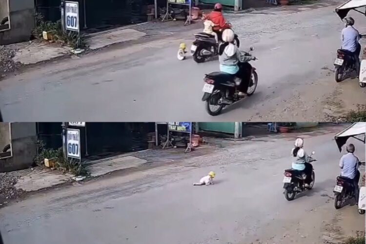 वायरल वीडियो: दिल-धराशायी! पिता सड़क पर बच्चे को छोड़ देते हैं, नाराजगी जताते हैं