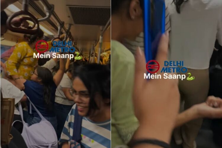 वायरल वीडियो: दिल्ली मेट्रो सफारी वाइब्स देता है! महिलाएं चीखती हैं और एक अफवाह सांप पर सीटों पर कूदती हैं