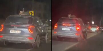 वायरल वीडियो: राजमार्ग रोमांस सीमा पार करता है! चंडीगढ़-मनाली मार्ग पर सनरूफ के माध्यम से स्टीमी पीडीए सवाल उठाता है
