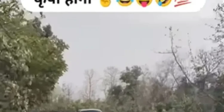 वायरल वीडियो: साधु बाबा ने पति से पत्नी द्वारा पकाए गए भोजन की सराहना करने के लिए कहा, जब वह करता है, तो वह उसे पीटता है, जांचें कि क्यों?