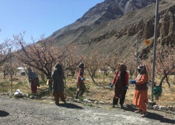 विक्सित कृषी शंकलप अभियान दुनिया के सबसे ऊंचे गाँव, कोमिक में 4,587 मीटर की दूरी पर शुरू होता है