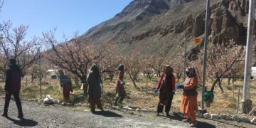 विक्सित कृषी शंकलप अभियान दुनिया के सबसे ऊंचे गाँव, कोमिक में 4,587 मीटर की दूरी पर शुरू होता है