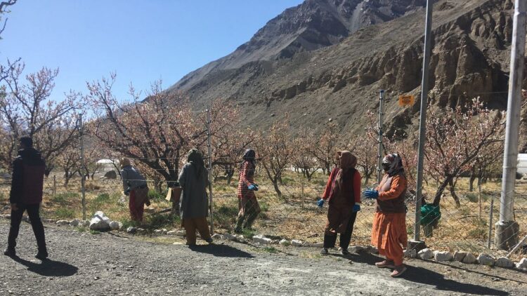 विक्सित कृषी शंकलप अभियान दुनिया के सबसे ऊंचे गाँव, कोमिक में 4,587 मीटर की दूरी पर शुरू होता है
