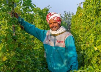 संघर्ष से स्थिरता तक: कैसे हरिचरन ओरान की दृष्टि ग्रामीण खेती को बदल रही है
