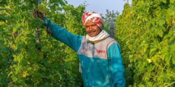 संघर्ष से स्थिरता तक: कैसे हरिचरन ओरान की दृष्टि ग्रामीण खेती को बदल रही है
