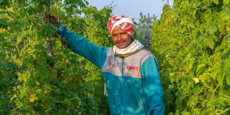 संघर्ष से स्थिरता तक: कैसे हरिचरन ओरान की दृष्टि ग्रामीण खेती को बदल रही है