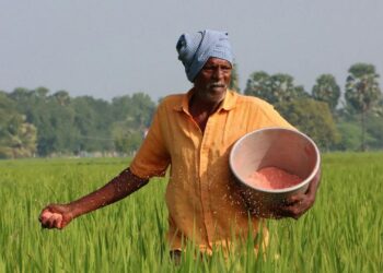 सरकार ने खरीफ सीजन के लिए उर्वरक की उपलब्धता की समीक्षा की, समय पर वितरण और स्थायी खेती पर जोर दिया