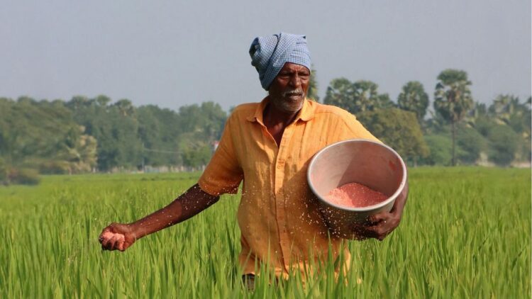 सरकार ने खरीफ सीजन के लिए उर्वरक की उपलब्धता की समीक्षा की, समय पर वितरण और स्थायी खेती पर जोर दिया