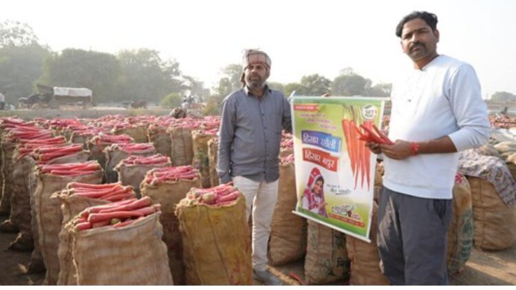 हिसार रसिली: गाजर का बीज जो किसानों को अच्छी गुणवत्ता, उच्च उपज और अधिकतम लाभ देता है