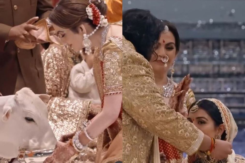 अनंत अंबानी -राधिका व्यापारी शादी की सालगिरह: नीता अंबानी गायों को खिलाता है, वायरल वीडियो में जोड़ी के रूप में क्लैप्स - वॉच