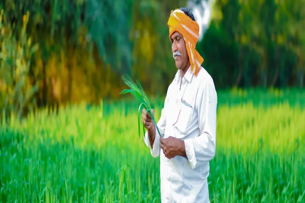 पीएम फासल बिमा योजाना: किसान ध्यान देते हैं, खरीफ 2025-26 के लिए अंतिम तिथि यह है