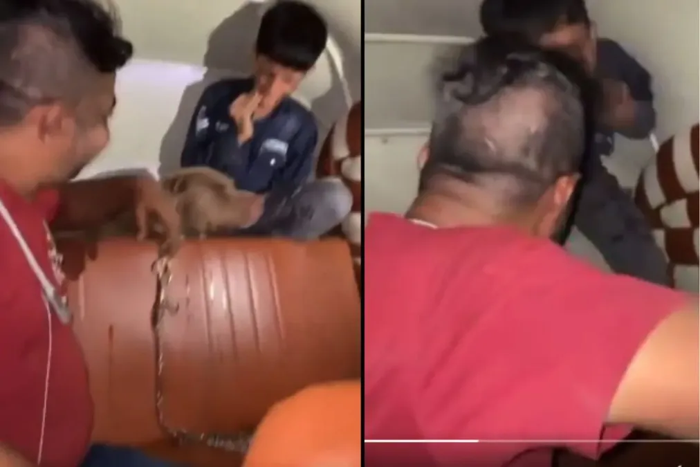 मुंबई वायरल वीडियो: सैडिस्ट! आदमी जानबूझकर पिटबुल को ऑटो रिक्शा में छोटे लड़के को काटता है, नाराजगी जगाता है
