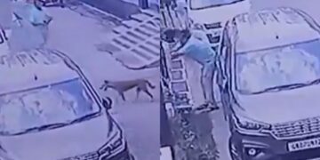 Bijnor वायरल वीडियो: डॉग ने सेवानिवृत्त इंजीनियर द्वारा गोली मार दी, नेटिज़ेंस सवाल जहां इंसनीयाट है