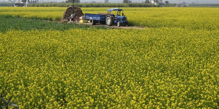 GTRI अमेरिका से जीएम फार्म उत्पादों के आयात के खिलाफ चेतावनी देता है; भारत के कृषि निर्यात को प्रभावित कर सकता है
