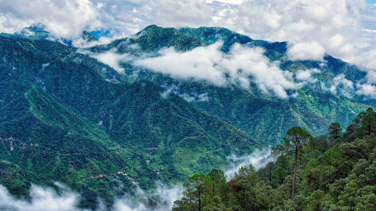 देहरादुन समाचार: उत्तराखंड ने राज्य भर में स्वास्थ्य और शिक्षा के बुनियादी ढांचे को डिजिटल रूप से बदलने के लिए