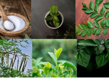 पत्तियों से बढ़ते धन: 10 लाभदायक पौधे और पेड़ हर भारतीय किसान को पता होना चाहिए