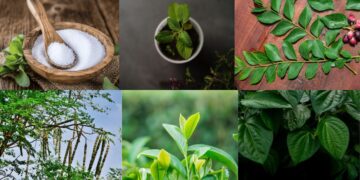 पत्तियों से बढ़ते धन: 10 लाभदायक पौधे और पेड़ हर भारतीय किसान को पता होना चाहिए