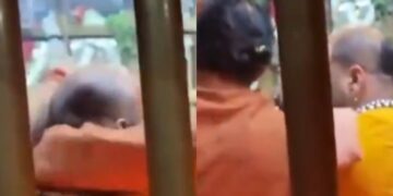 मिर्ज़ापुर वायरल वीडियो: पुजारी माना विंधावासिनी मंदिर गार्ब ग्रिहा के अंदर झड़पें