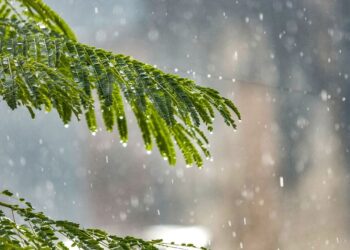 मौसम अद्यतन: IMD मध्य प्रदेश, हिमाचल, महाराष्ट्र, पश्चिम बंगाल और दिल्ली में भारी वर्षा अलर्ट जारी करता है - यहां पूर्ण पूर्वानुमान की जाँच करें