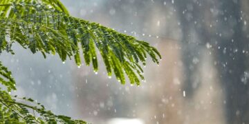 मौसम अद्यतन: IMD मध्य प्रदेश, हिमाचल, महाराष्ट्र, पश्चिम बंगाल और दिल्ली में भारी वर्षा अलर्ट जारी करता है - यहां पूर्ण पूर्वानुमान की जाँच करें