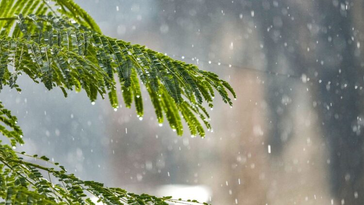 मौसम अद्यतन: IMD मध्य प्रदेश, हिमाचल, महाराष्ट्र, पश्चिम बंगाल और दिल्ली में भारी वर्षा अलर्ट जारी करता है - यहां पूर्ण पूर्वानुमान की जाँच करें