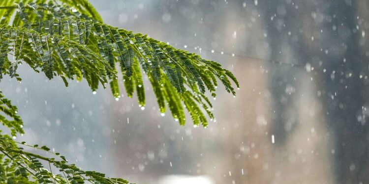 मौसम अद्यतन: IMD राजस्थान, कर्नाटक, महाराष्ट्र, मेघालय और अन्य राज्यों के लिए भारी वर्षा अलर्ट जारी करता है - यहां पूर्ण पूर्वानुमान की जाँच करें